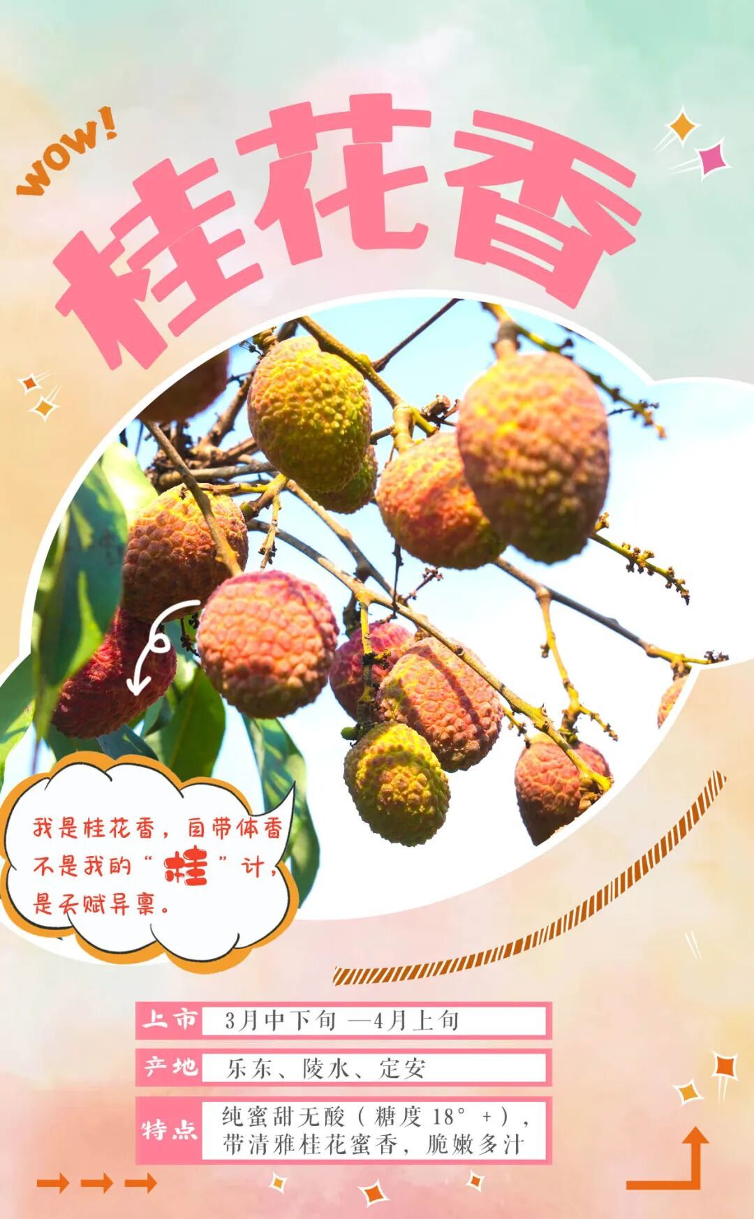 “荔枝控”狂喜！海南荔枝图鉴，来了→