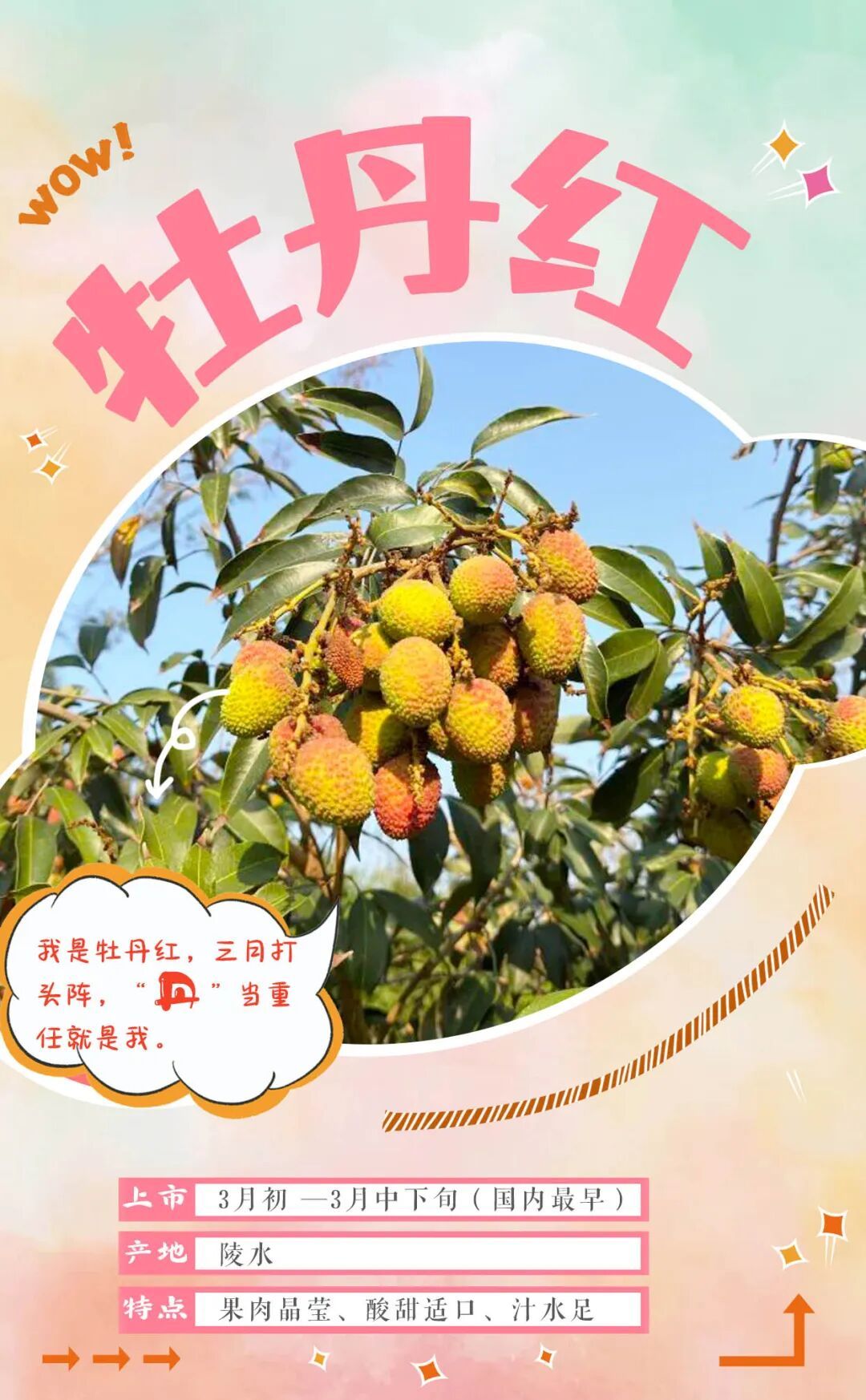 “荔枝控”狂喜！海南荔枝图鉴，来了→