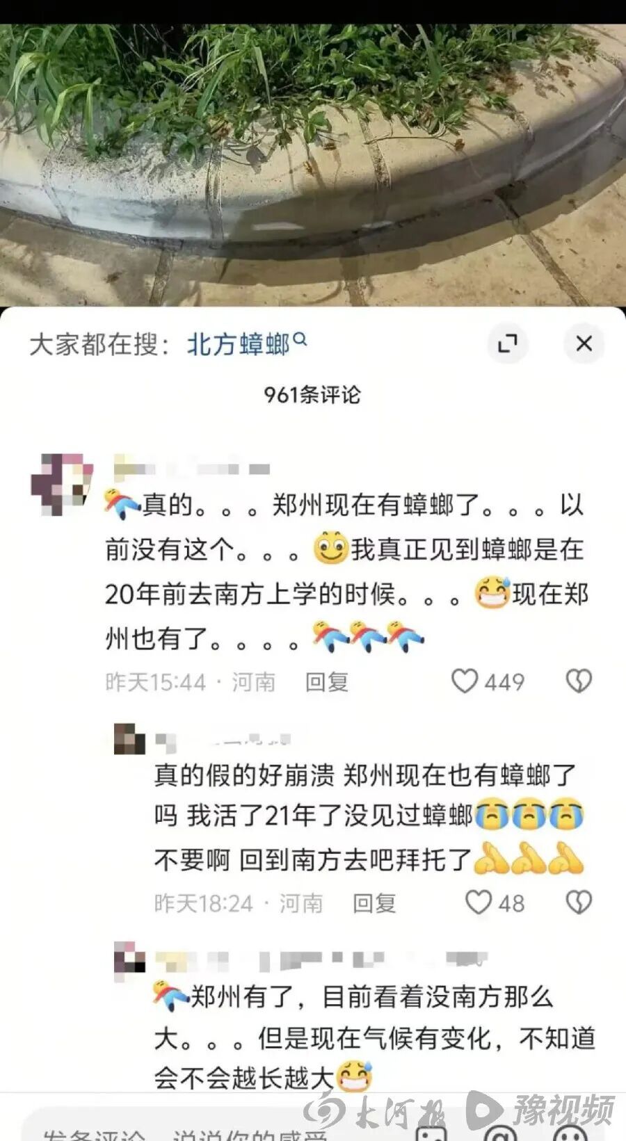 “蟑螂爬进耳朵里产卵”,网友称河南今年蟑螂变多了,疾控专家回应 “蟑螂爬进耳朵里产卵”,网友称河南今年蟑螂变多了,疾控专家回应