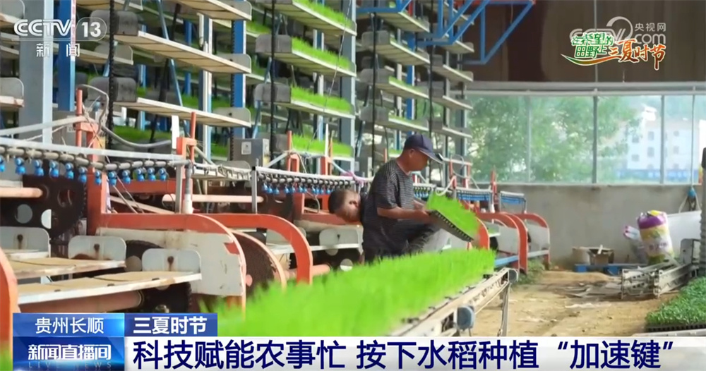 “良机+良种+良法”赋能农业生产 为绘就好“丰”景按下“加速键” “良机+良种+良法”赋能农业生产 为绘就好“丰”景按下“加速键”