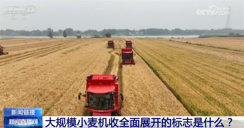从“三夏”麦收地图看全国大规模小麦机收“时刻表” 多举措减损助丰收