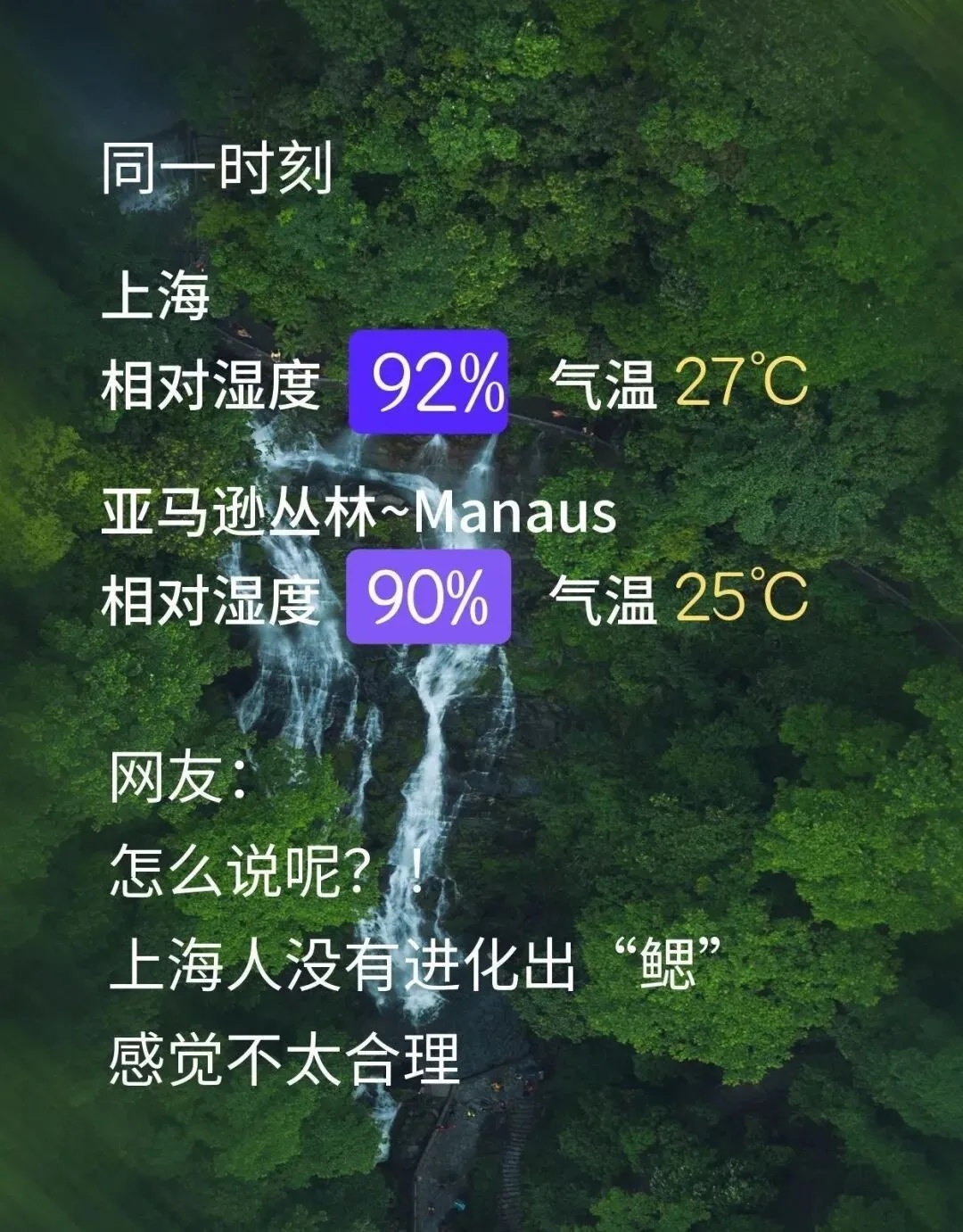 “湿哒哒”太难受！为了不进化出“鳃”，上海人开始准备了→
