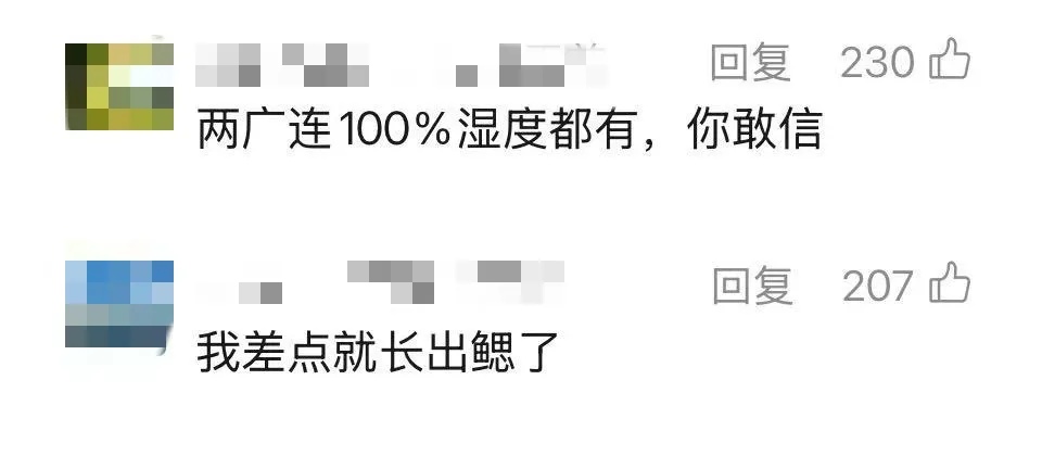 “湿哒哒”太难受！为了不进化出“鳃”，上海人开始准备了→