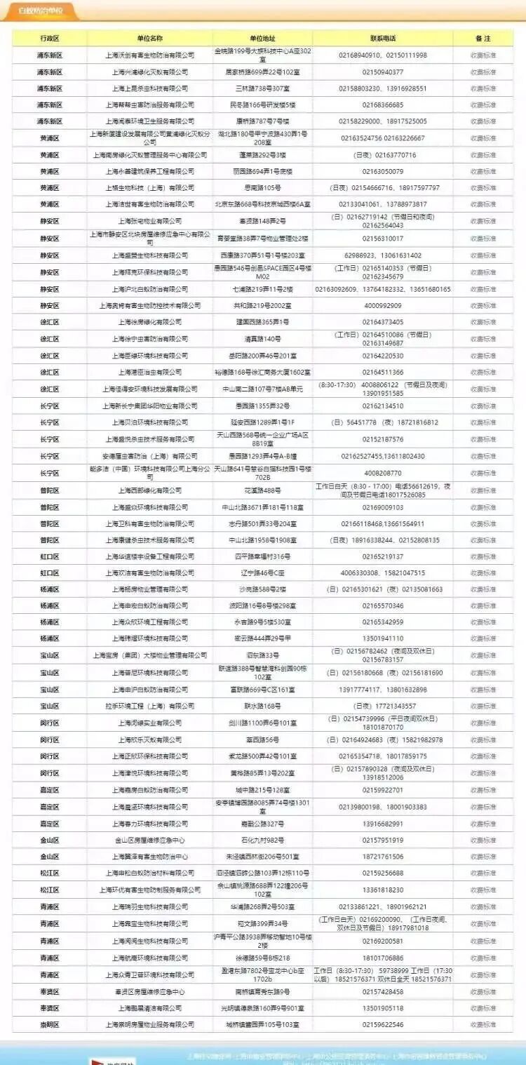 预计6月上旬到最高峰，上海人每年最怕的白蚁又来了！做好三件事防范→