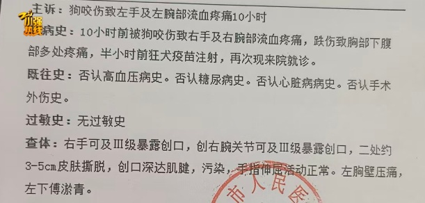女子上班路上被大狼狗扑咬得血肉模糊！狗主人：赔3万？不可能！警方已介入