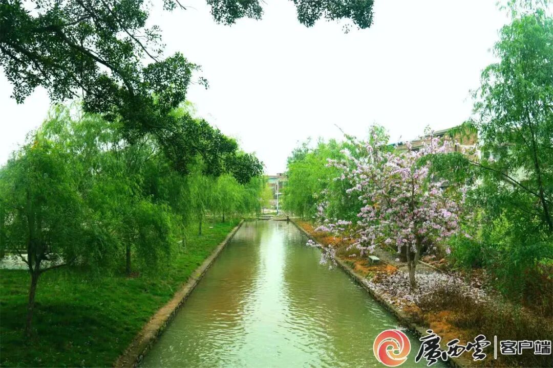 多地破纪录!高温预警持续!广西今年夏天会更热吗? 多地破纪录!高温预警持续!广西今年夏天会更热吗?