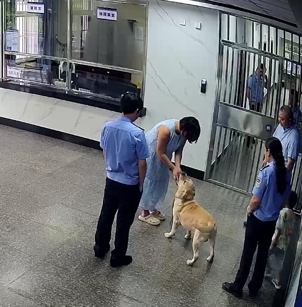 萌犬“蹭警车”不愿走 民警化身“铲屎官”助团圆 萌犬“蹭警车”不愿走 民警化身“铲屎官”助团圆