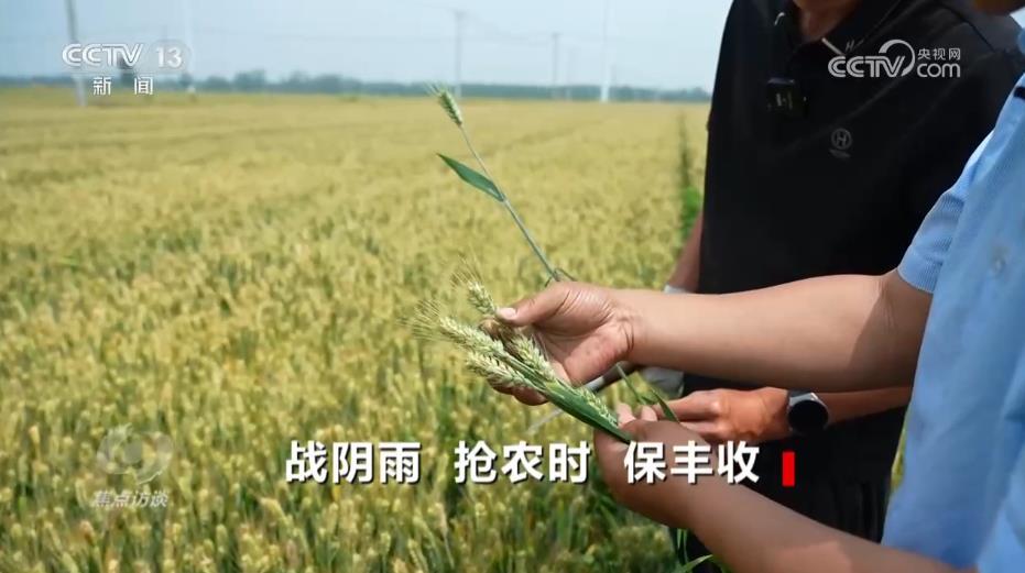 三夏时节多地昼夜奋战、抢收抢管 牢牢守住百姓的丰收粮 三夏时节多地昼夜奋战、抢收抢管 牢牢守住百姓的丰收粮