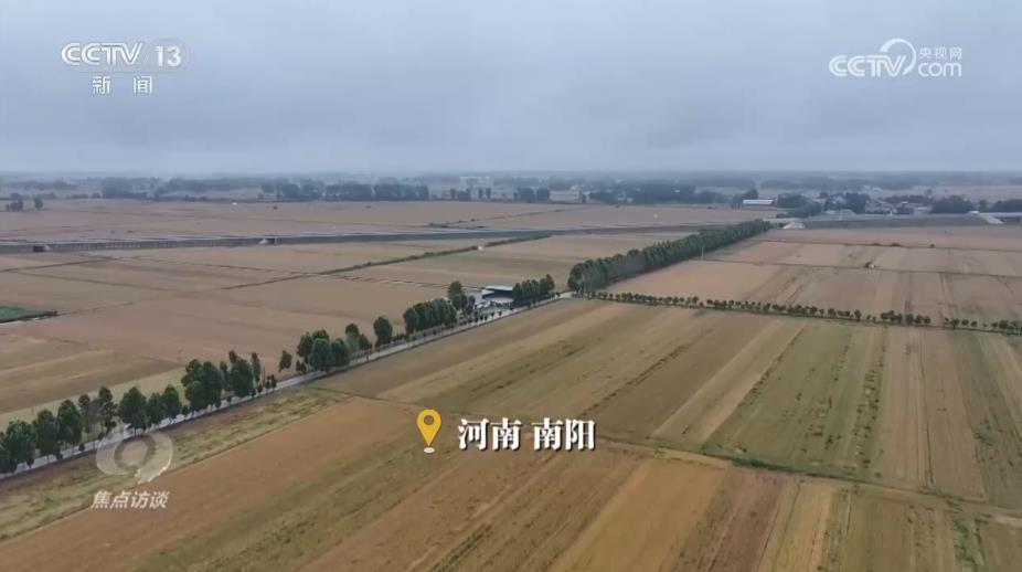 三夏时节多地昼夜奋战、抢收抢管 牢牢守住百姓的丰收粮 三夏时节多地昼夜奋战、抢收抢管 牢牢守住百姓的丰收粮