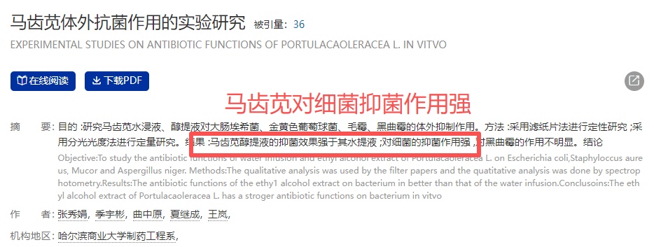 老祖宗都夸的“长命菜”，维C超西梅16倍！降血压、稳血糖，菜场遇到别错过