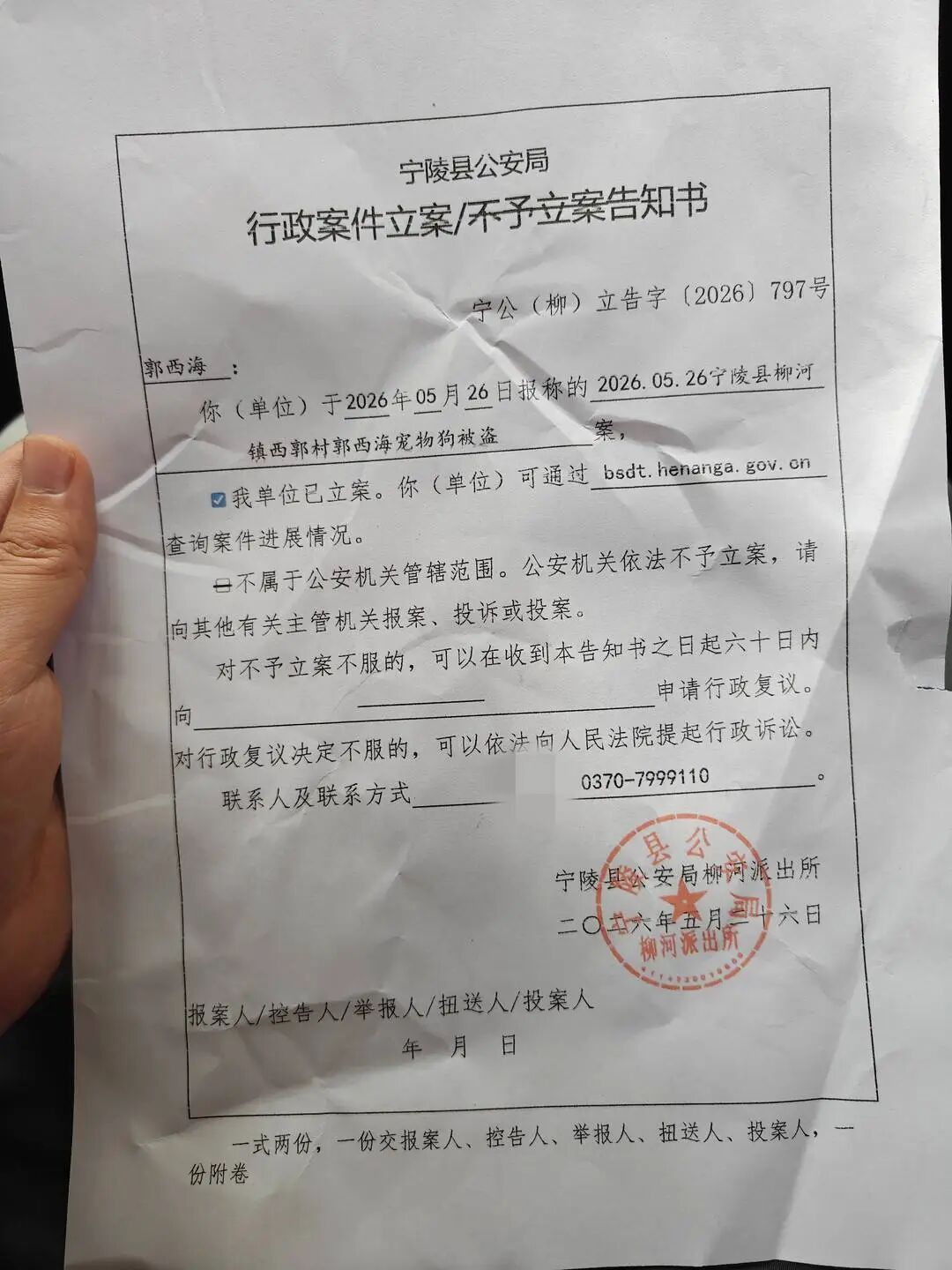 “绝对不会和解”！网红边牧被“强行”偷走，以180元价格贩卖，当天被宰杀！狗主人发声→