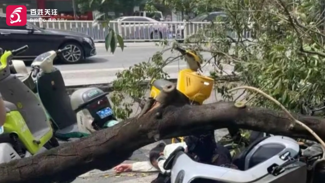 电动车司机被大风刮断的树枝砸倒在地，监控拍下惊险瞬间！官方回应：伤者无生命危险