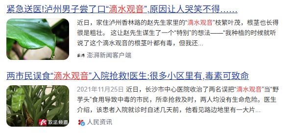剧烈疼痛!好奇舔了一口,2岁娃在公园中毒!当心,很多地方都有 剧烈疼痛!好奇舔了一口,2岁娃在公园中毒!当心,很多地方都有