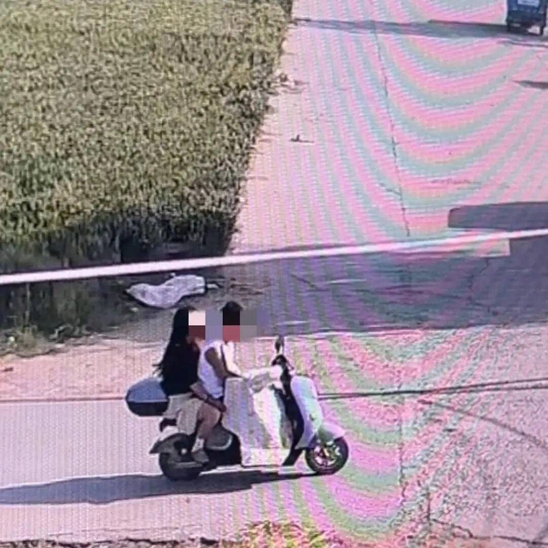 “绝对不会和解”！网红边牧被“强行”偷走，以180元价格贩卖，当天被宰杀！狗主人发声→