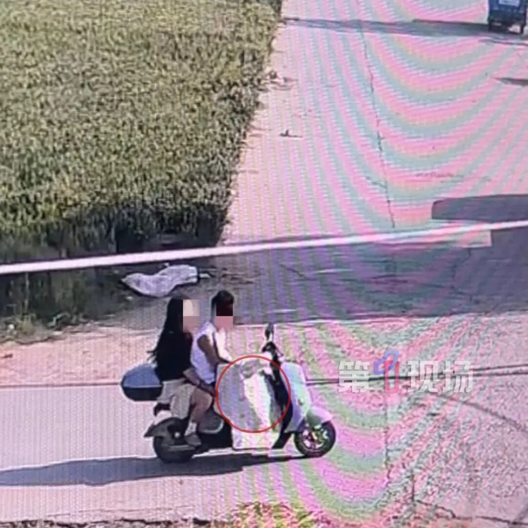 网红犬被人偷走宰杀！主人落泪独家回应：维权到底！让狗的离开有意义