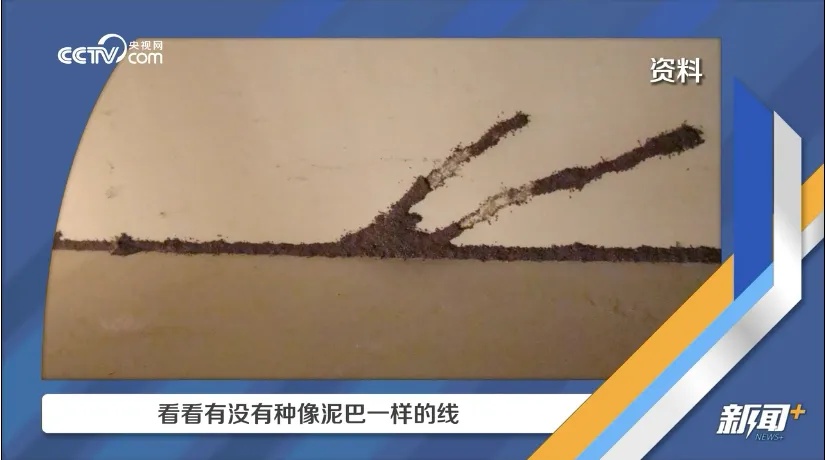 关窗！关窗！近期大量出现