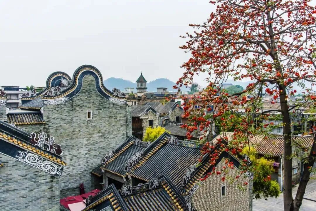 放假1天！广州多个景区宣布：免费！