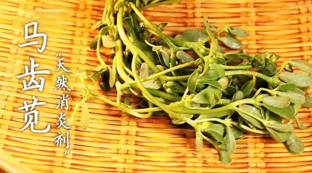 老祖宗都夸的“长命菜”，维C超西梅16倍！降血压、稳血糖，菜场遇到别错过