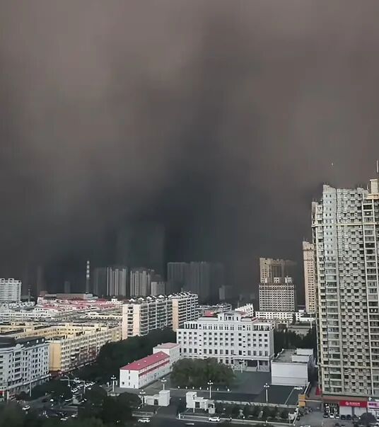 哈尔滨遭遇沙尘暴“一秒天黑” ,人员出行艰难,树都被吹断了,能见度不足百米 哈尔滨遭遇沙尘暴“一秒天黑” ,人员出行艰难,树都被吹断了,能见度不足百米
