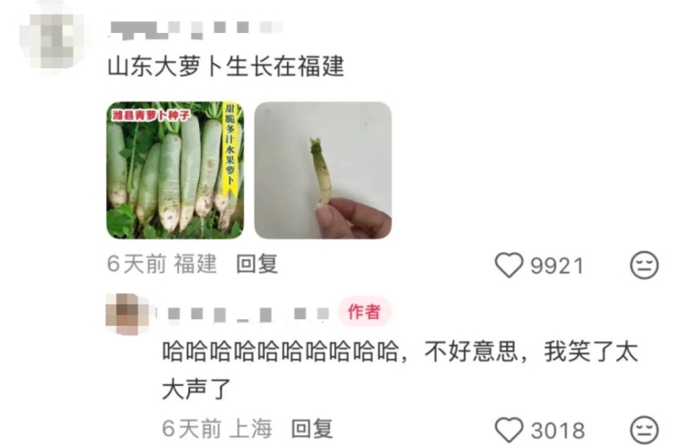 “都市种地实录”火了！“本人于2026年5月种出了番茄，望周知”