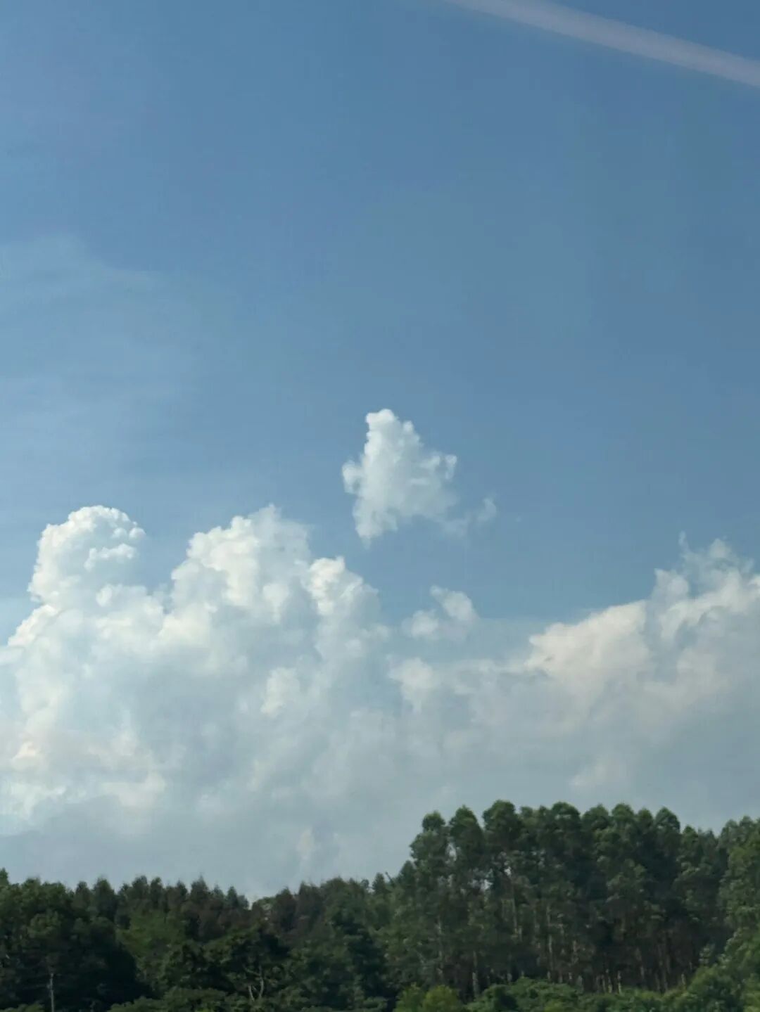 李思潼:我会永远记住南枝,我的第一个角色 李思潼:我会永远记住南枝,我的第一个角色