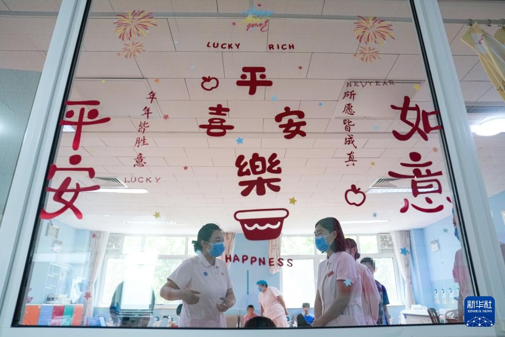 我和我的“孩子们”