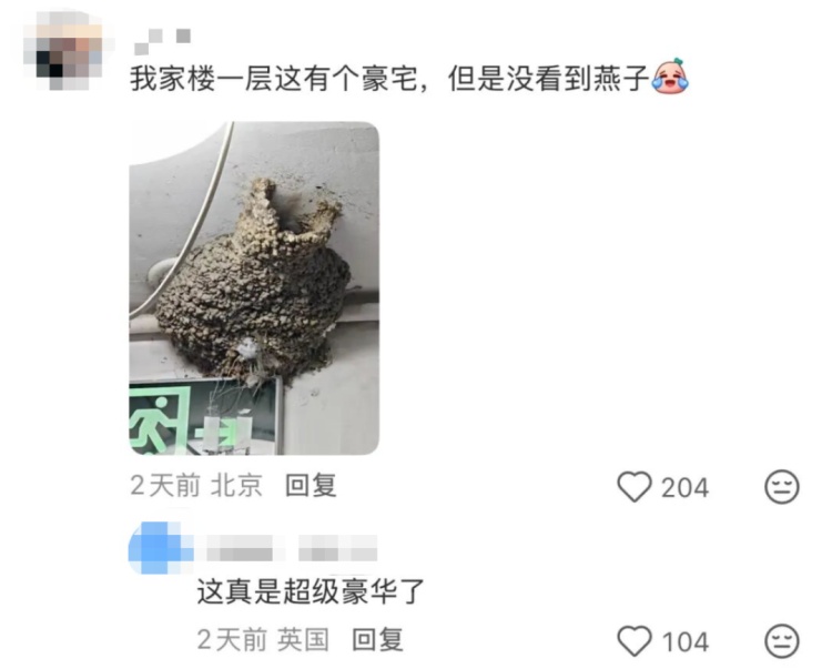 “都市种地实录”火了！“本人于2026年5月种出了番茄，望周知”