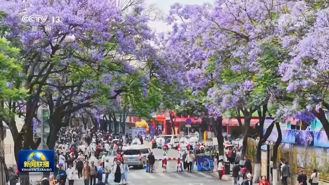 绿化带美出新颜值 公园城市尽显新风貌