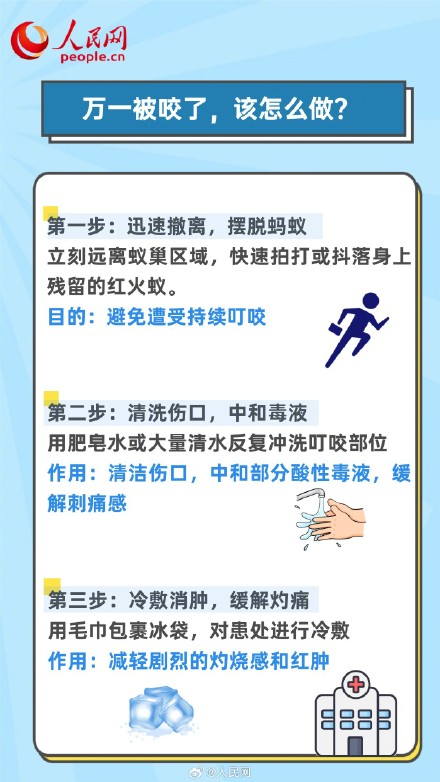 转发收藏！被红火蚁咬了5步急救法