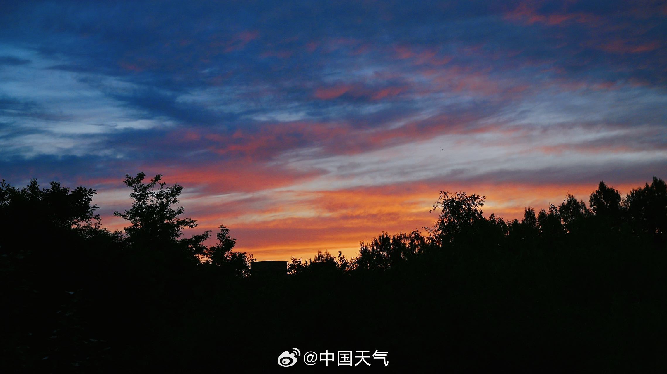 浓墨重彩！北京油画版朝霞惊艳登场