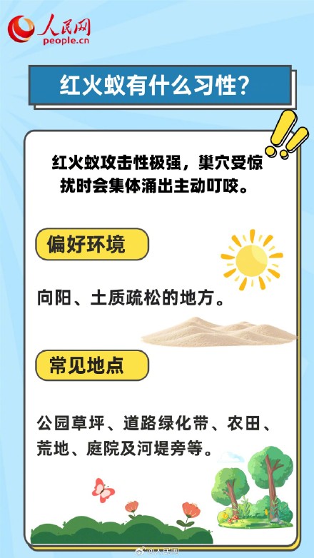 转发收藏！被红火蚁咬了5步急救法