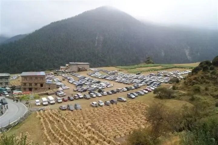 收的是什么费?为何要设卡?选址科学吗?新华社调查稻城亚丁景区“道路设卡摆渡收费” 收的是什么费?为何要设卡?选址科学吗?新华社调查稻城亚丁景区“道路设卡摆渡收费”
