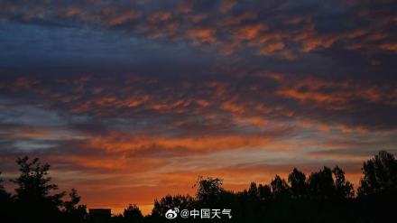 浓墨重彩！北京油画版朝霞惊艳登场