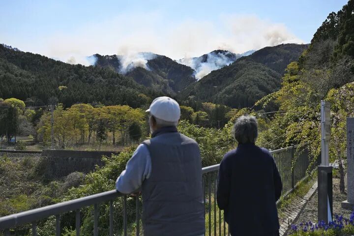 越来越多日本人“死了还要离”
