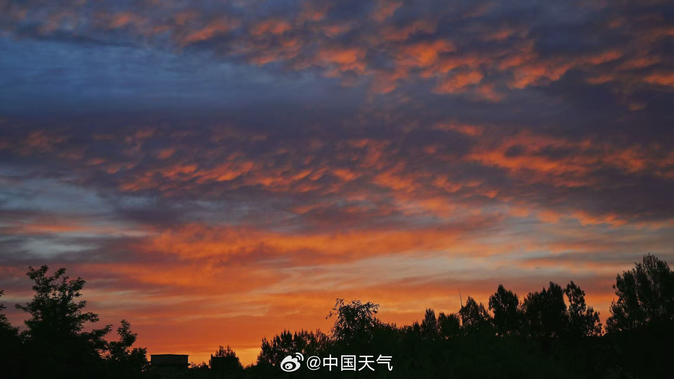 浓墨重彩！北京油画版朝霞惊艳登场