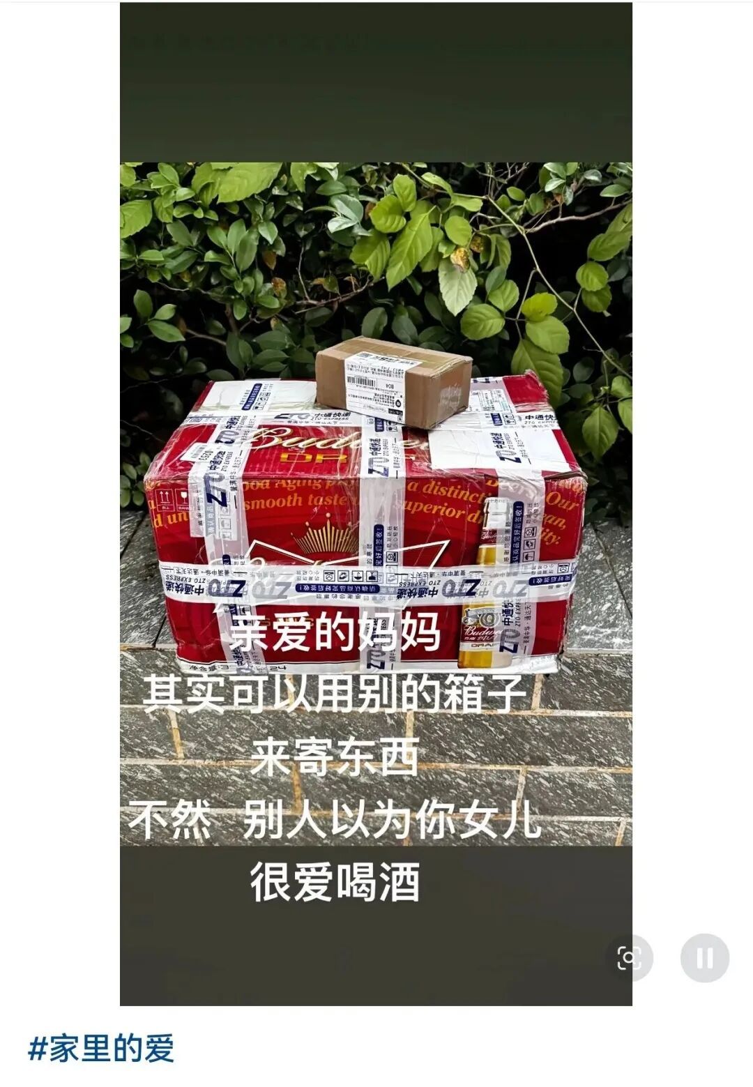 妈妈寄来的包裹,一宿舍人打着手电筒,急头白脸地吃了一晚上…… 妈妈寄来的包裹,一宿舍人打着手电筒,急头白脸地吃了一晚上……