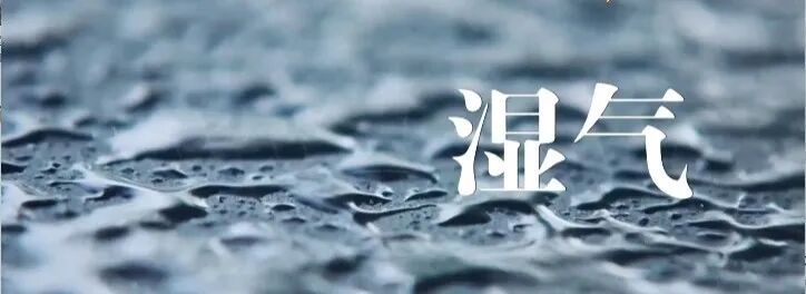 躺着就能养脾胃,不花一分钱!每天5分钟,中焦通了,排便轻松 躺着就能养脾胃,不花一分钱!每天5分钟,中焦通了,排便轻松
