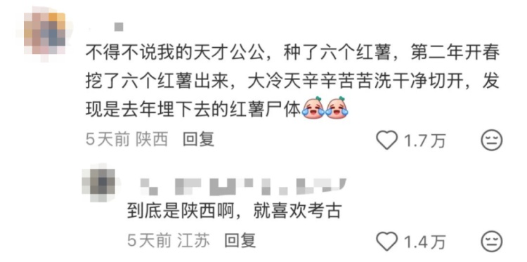 “都市种地实录”火了！“本人于2026年5月种出了番茄，望周知”