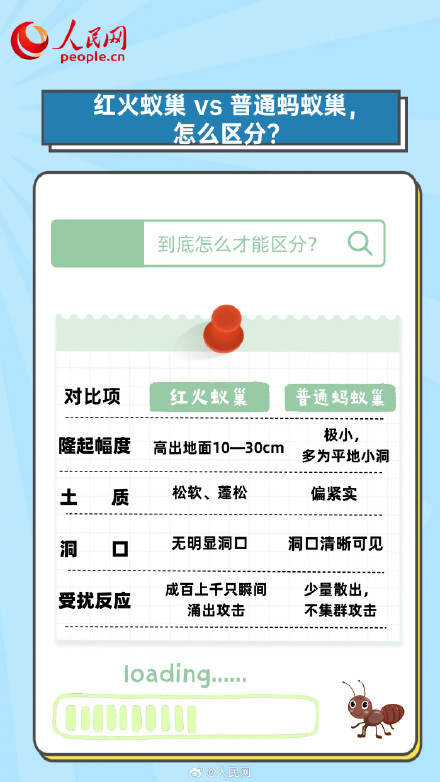 转发收藏！被红火蚁咬了5步急救法