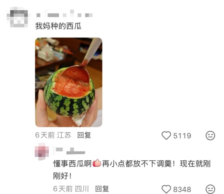 “都市种地实录”火了！“本人于2026年5月种出了番茄，望周知”