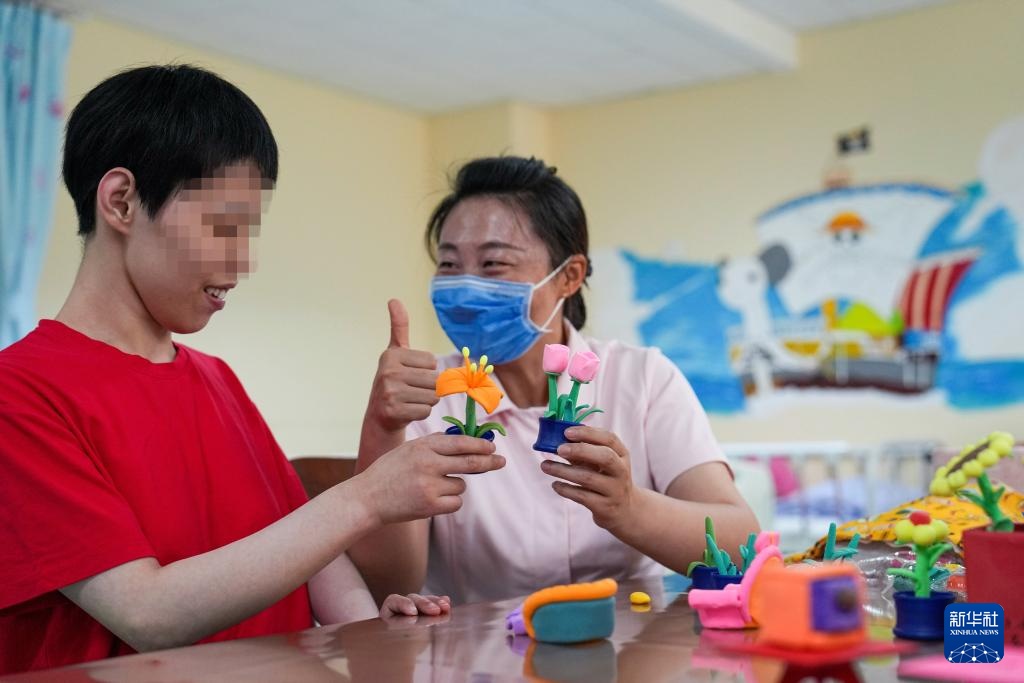 我和我的“孩子们”