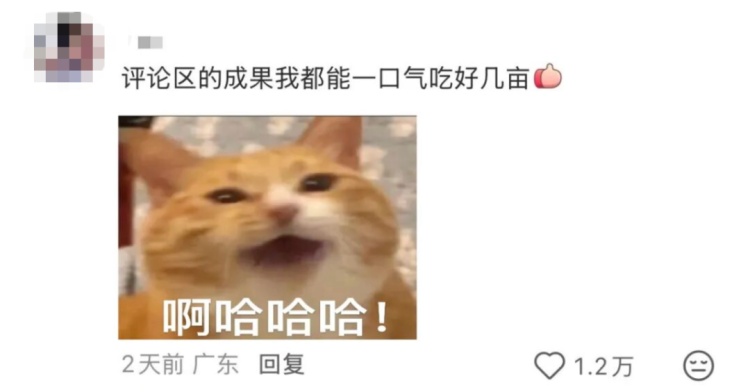 “都市种地实录”火了！“本人于2026年5月种出了番茄，望周知”