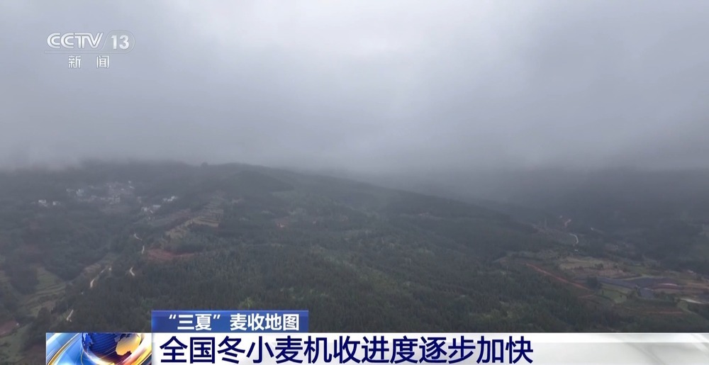 收获进度18.18% 全国冬小麦机收进度逐步加快 收获进度18.18% 全国冬小麦机收进度逐步加快