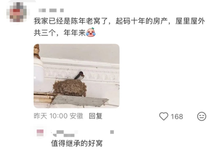 “都市种地实录”火了！“本人于2026年5月种出了番茄，望周知”