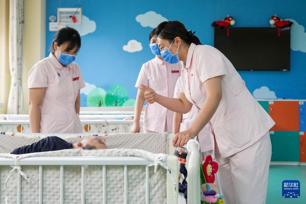 我和我的“孩子们”