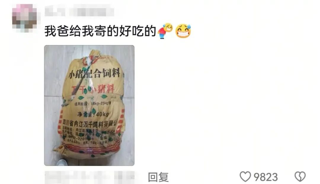 妈妈寄来的包裹,一宿舍人打着手电筒,急头白脸地吃了一晚上…… 妈妈寄来的包裹,一宿舍人打着手电筒,急头白脸地吃了一晚上……