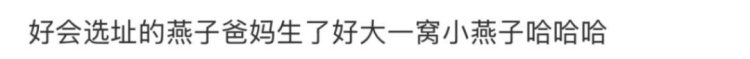 “都市种地实录”火了！“本人于2026年5月种出了番茄，望周知”