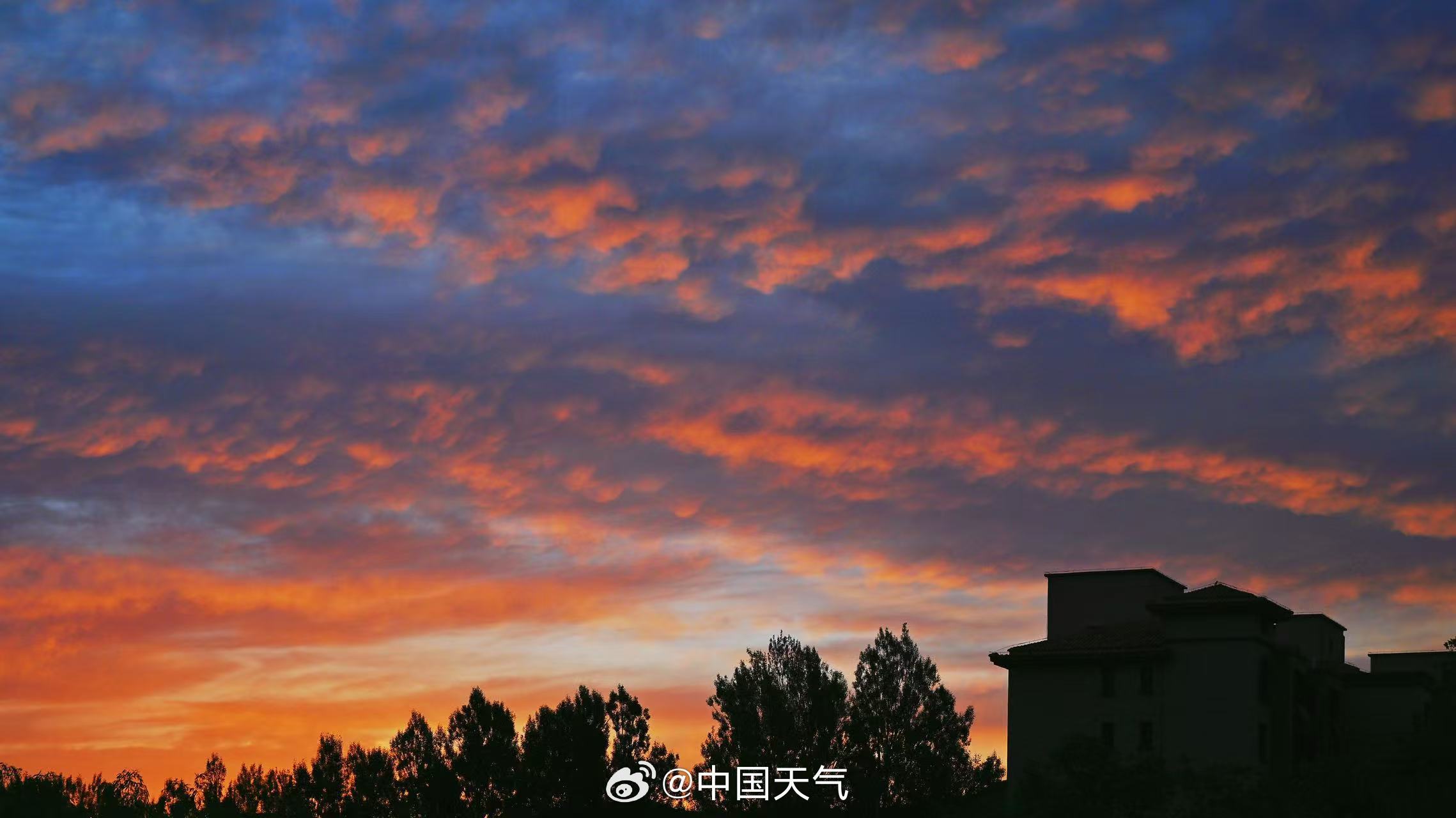 浓墨重彩！北京油画版朝霞惊艳登场