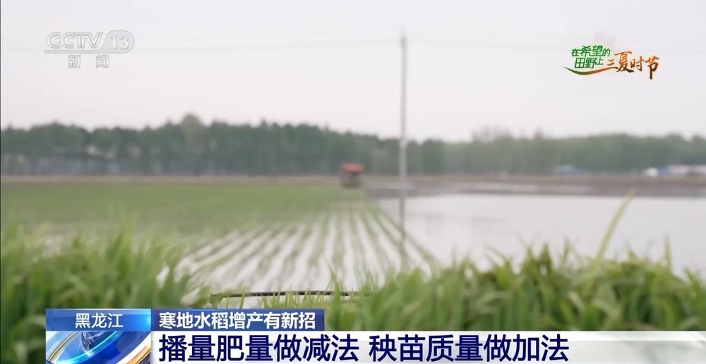 良法良种良机 寒地水稻增产新招让“不可能”成为现实