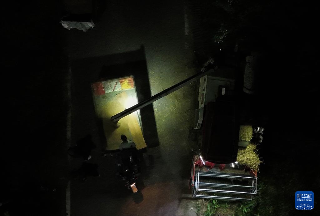 昼夜不停抢麦收